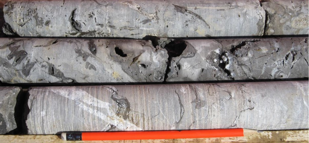 Dolomie hydrothermale avec forte porosité